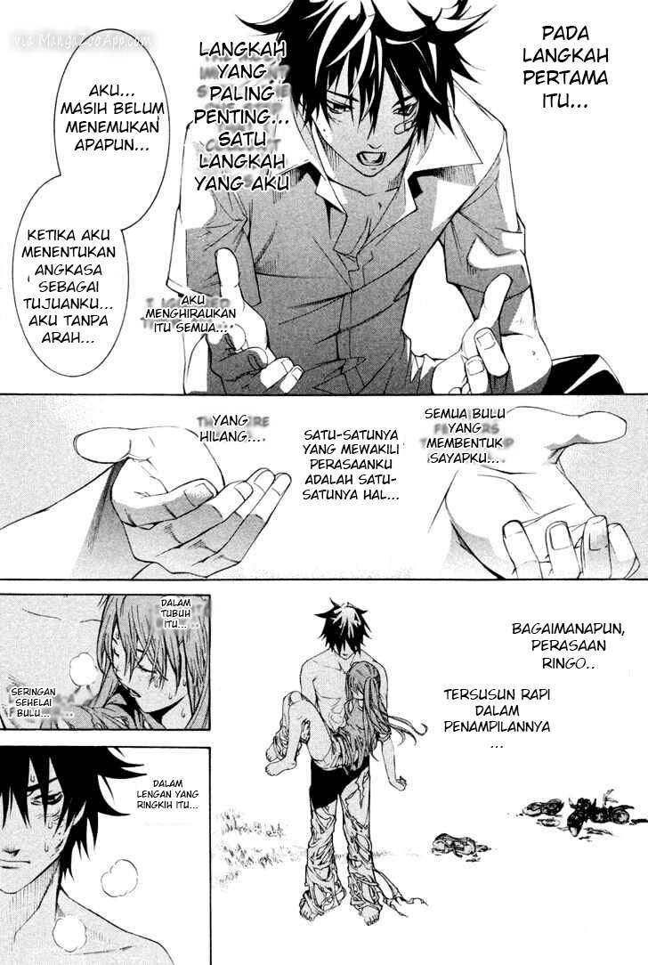 Air Gear chapter 141 halaman 13