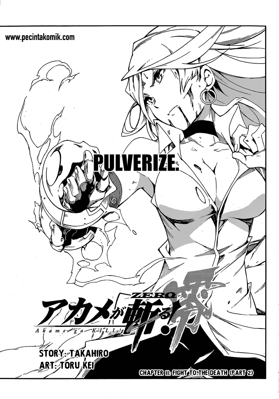 Akame ga Kill! Zero Bab 11 halaman 2