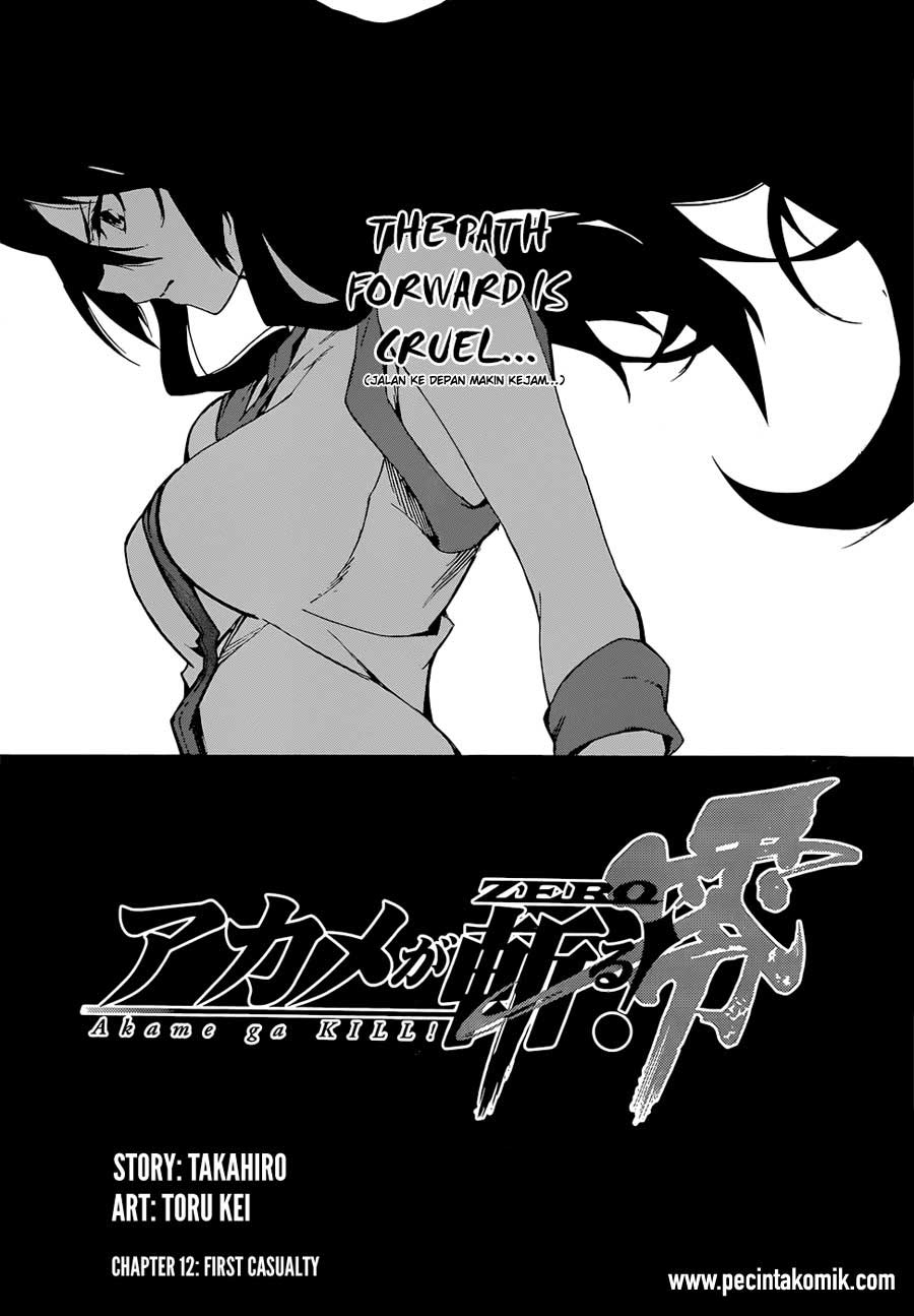 Akame ga Kill! Zero Bab 12 halaman 2