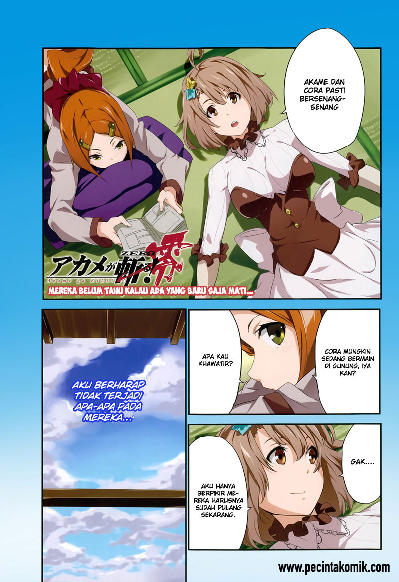 Akame ga Kill! Zero Bab 13 halaman 4