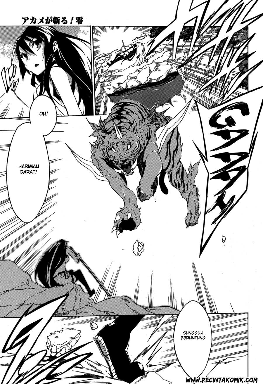 Akame ga Kill! Zero Bab 2 halaman 16