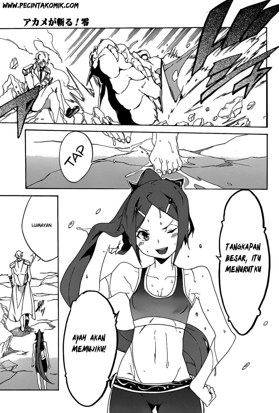 Akame ga Kill! Zero Bab 2 halaman 20