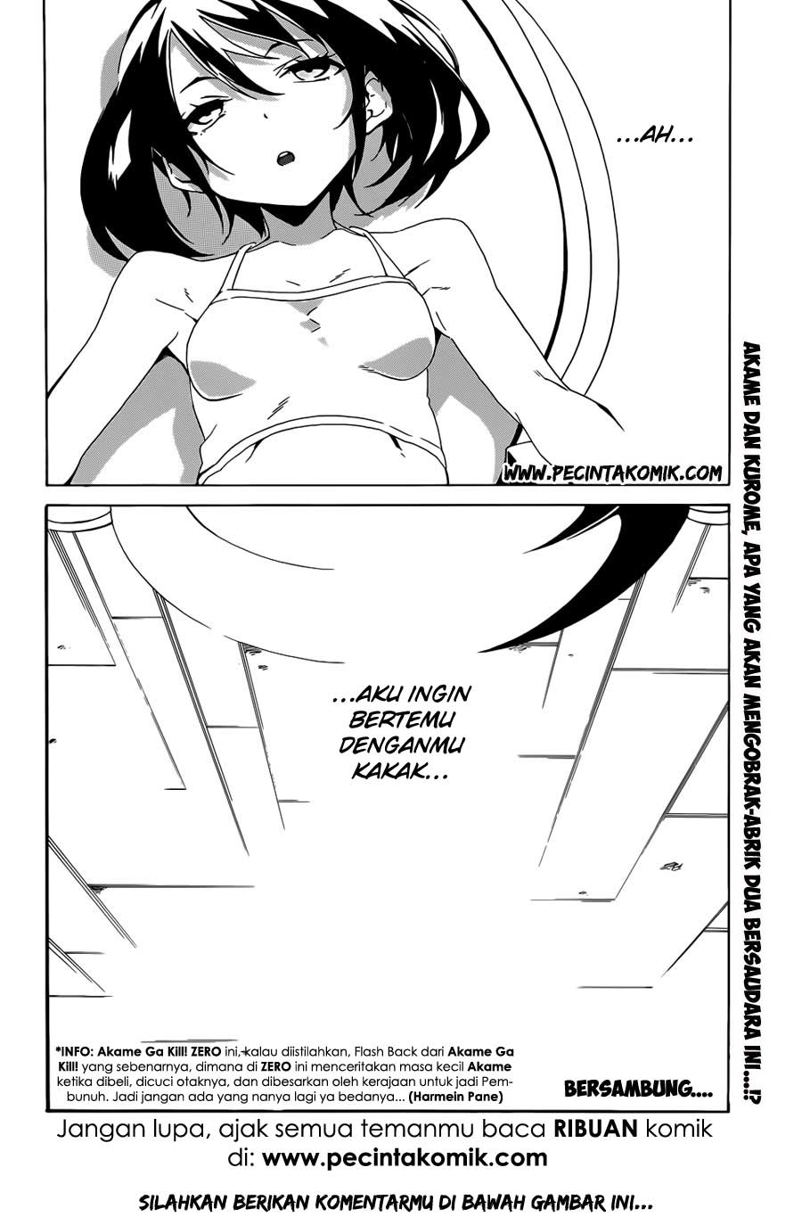 Akame ga Kill! Zero Bab 2 halaman 31