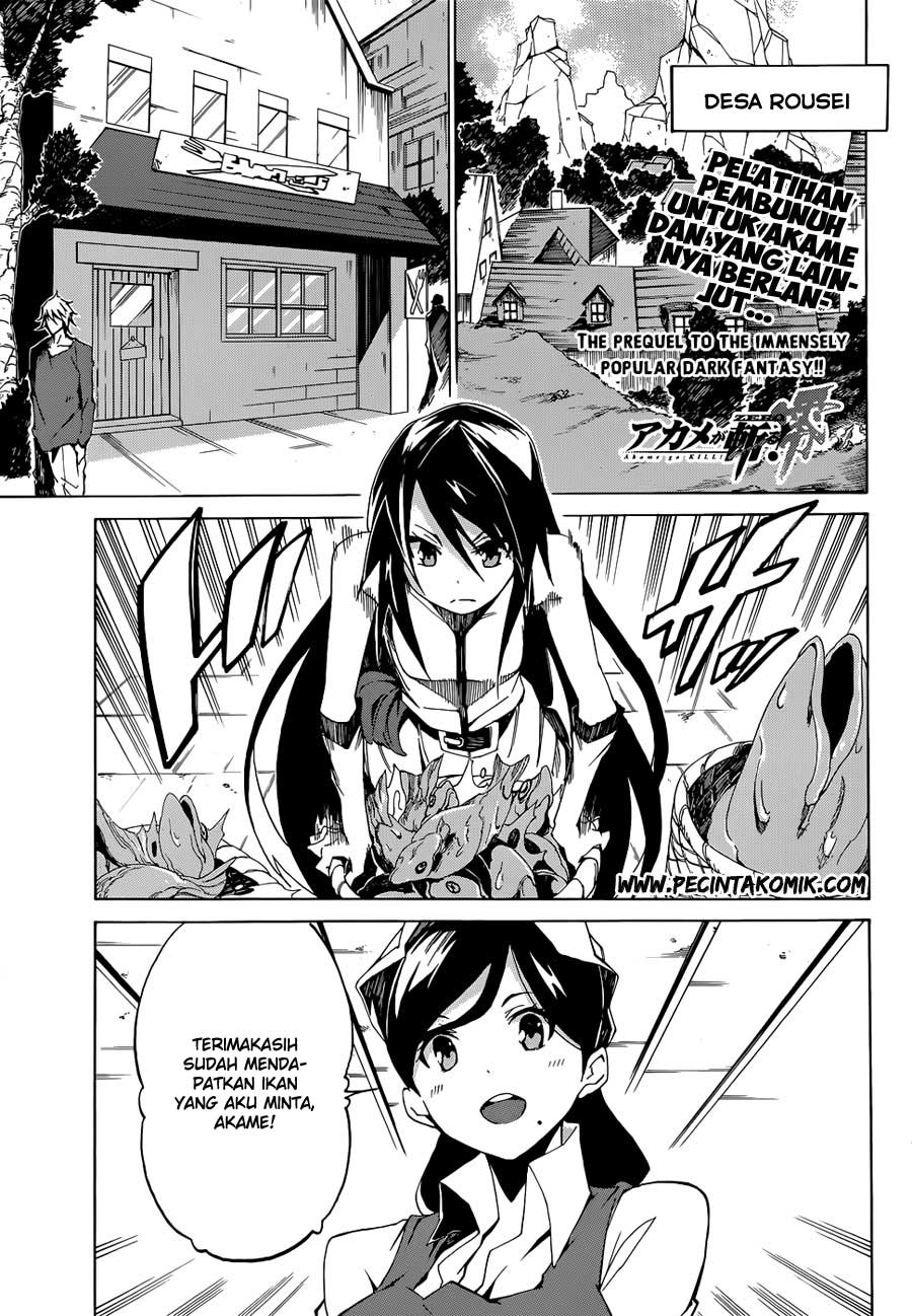Akame ga Kill! Zero chapter 3 halaman 2
