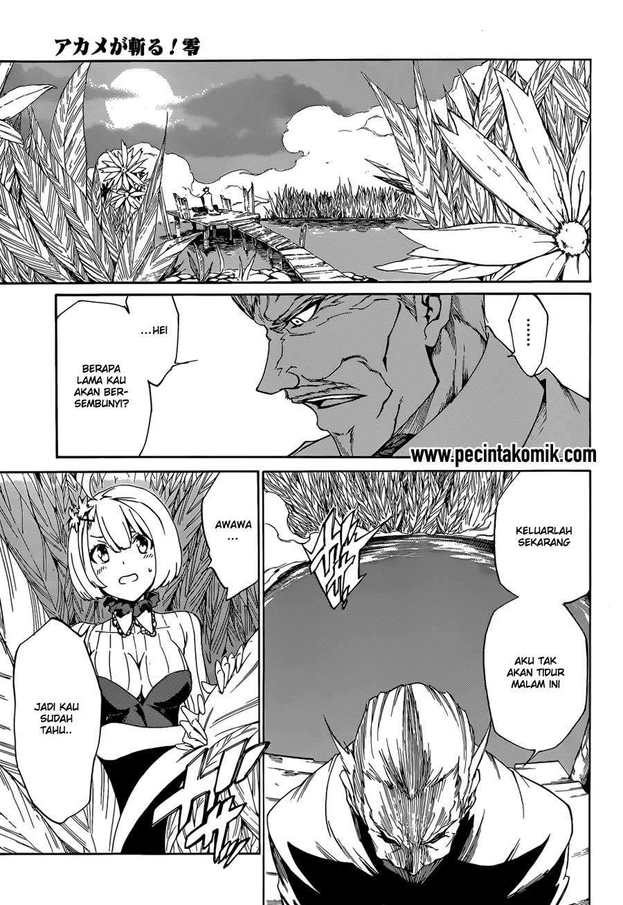 Akame ga Kill! Zero chapter 4 halaman 10
