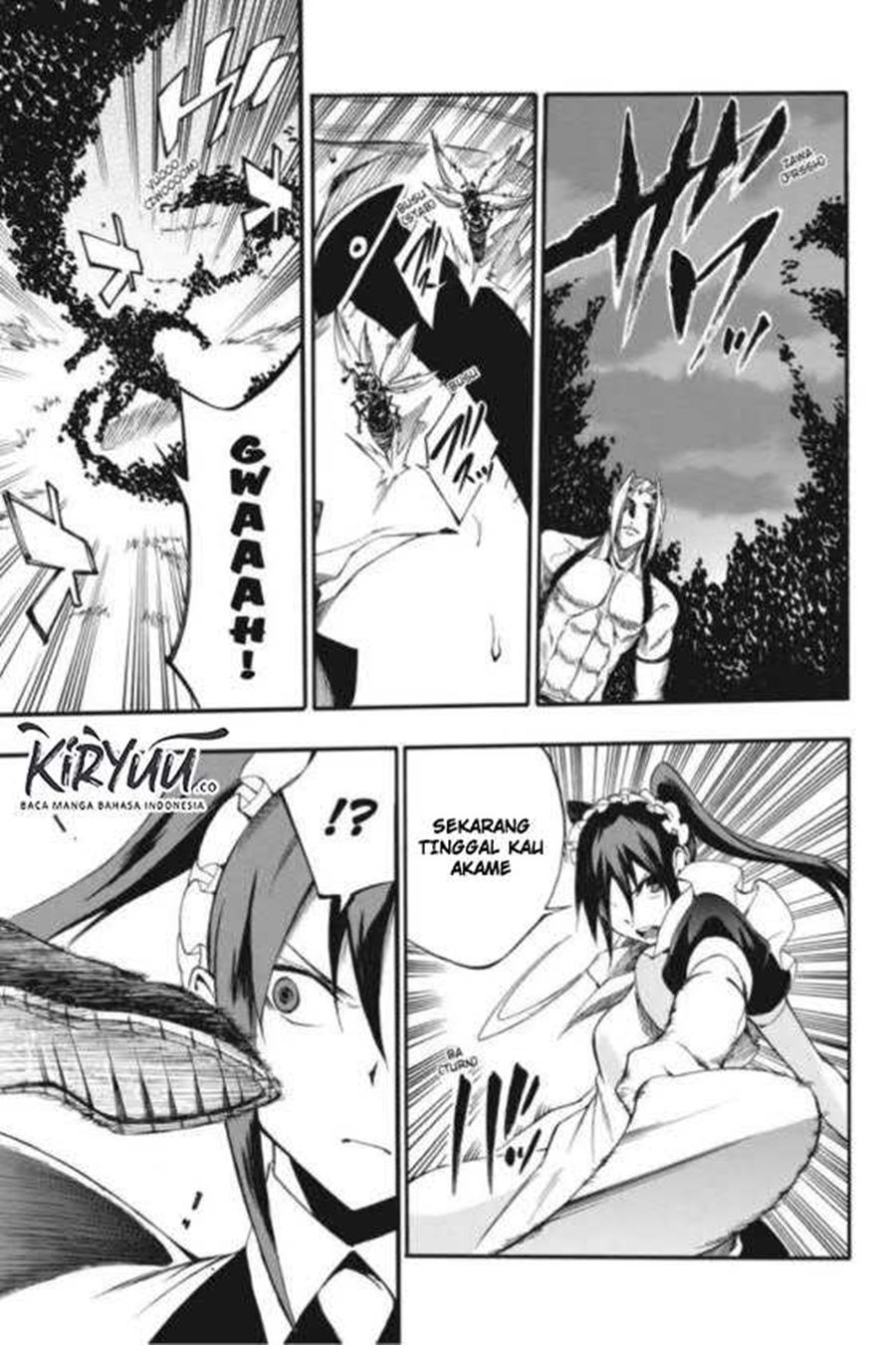 Akame ga Kill! Zero Bab 41 halaman 17