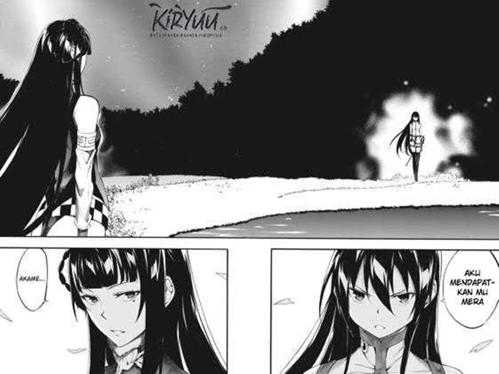 Akame ga Kill! Zero Bab 41 halaman 30