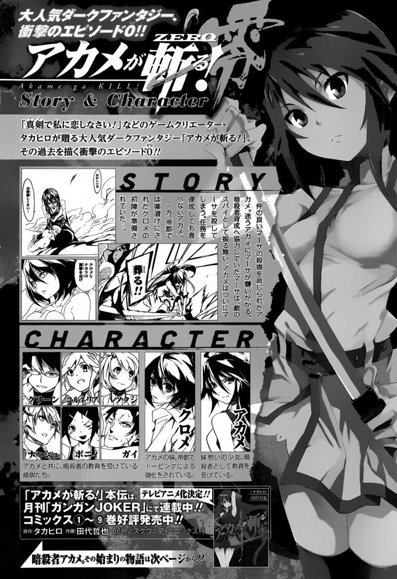 Akame ga Kill! Zero Bab 5 halaman 2
