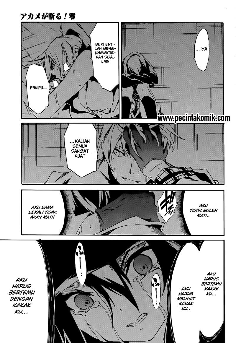 Akame ga Kill! Zero Bab 5 halaman 33