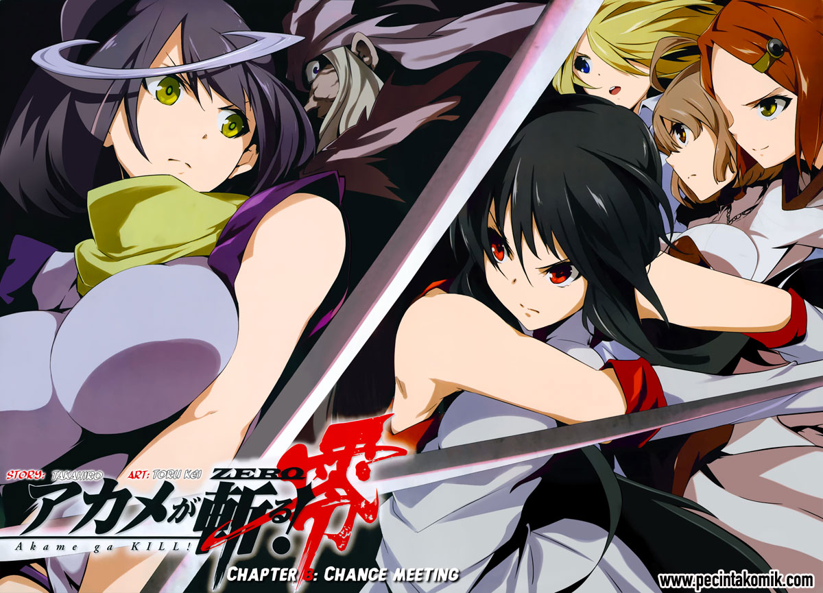 Akame ga Kill! Zero Bab 8 halaman 4