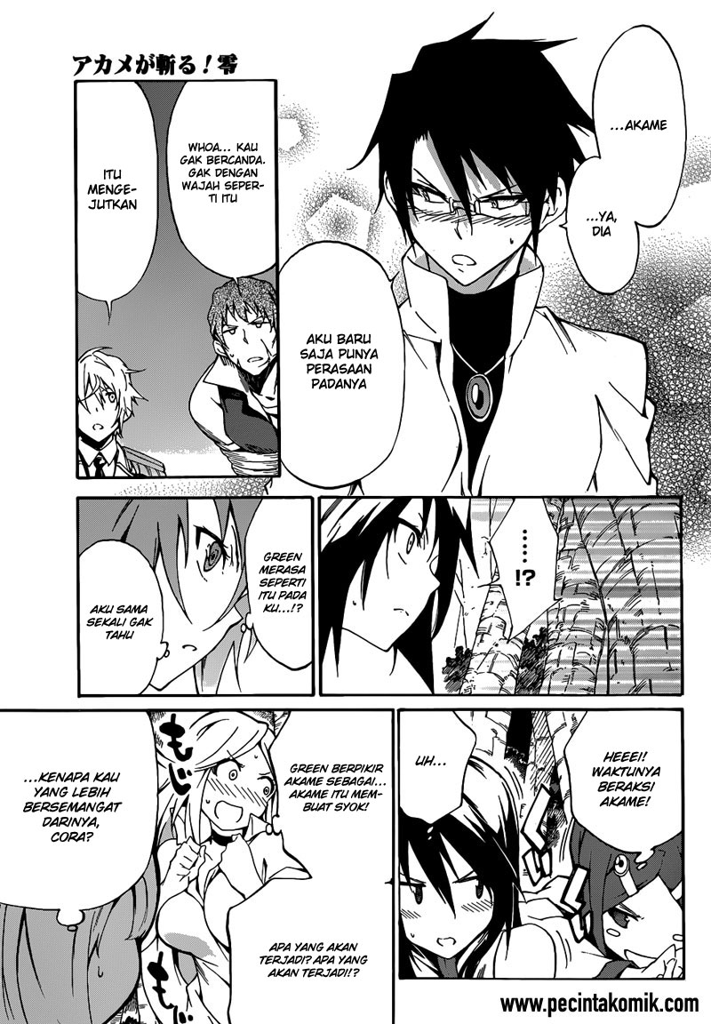Akame ga Kill! Zero Bab 8 halaman 11