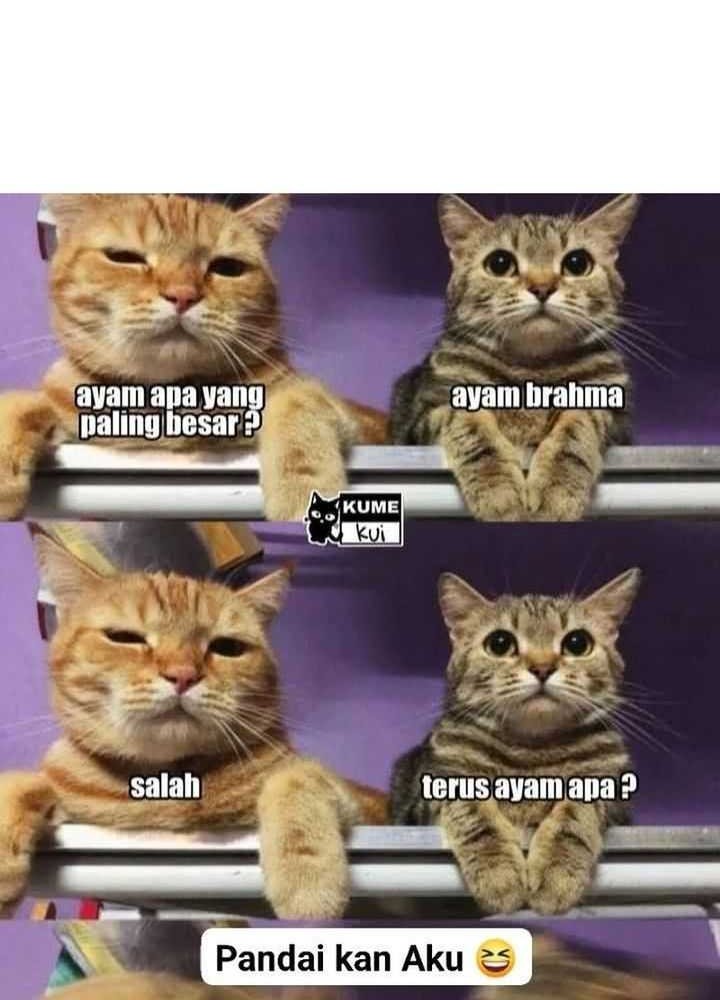Am I Invincible Bab 232 halaman 29