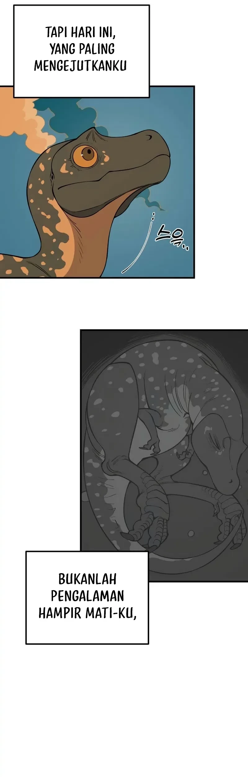 Ancient Animals Bab 12 halaman 13