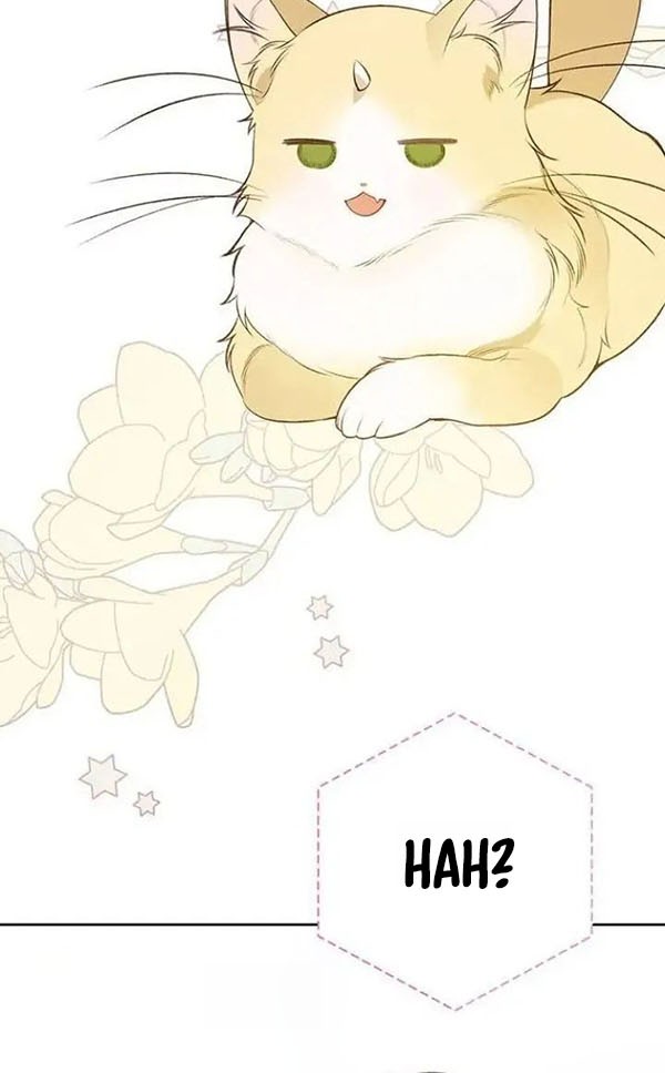Baby Tyrant chapter 37 halaman 39