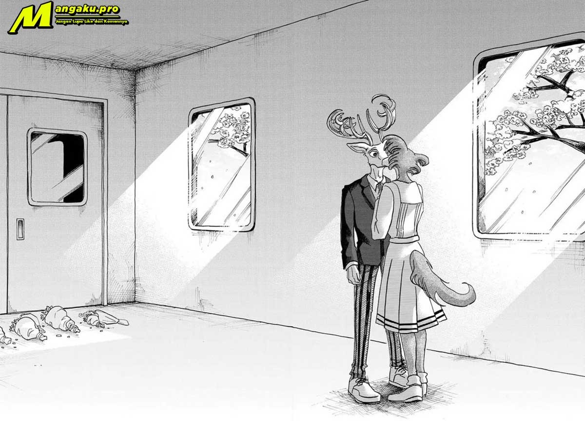 Beastars Bab 105 halaman 13