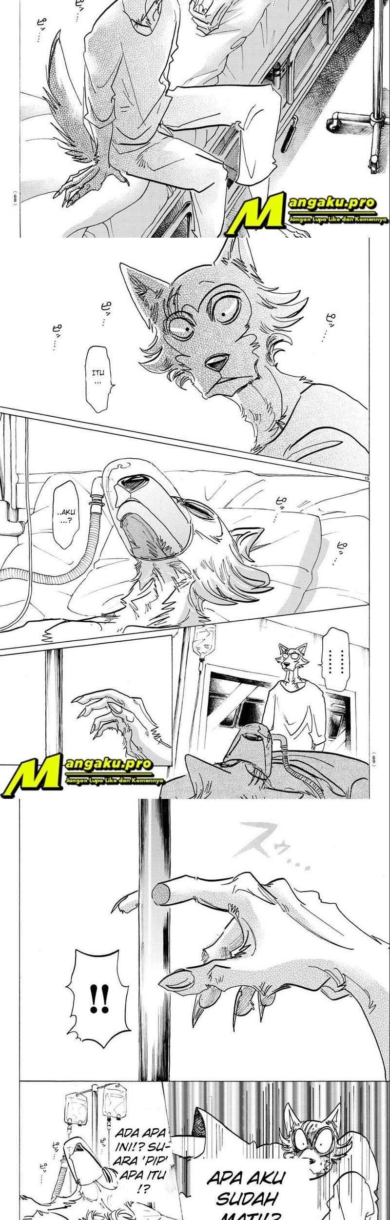 Beastars chapter 132 halaman 9
