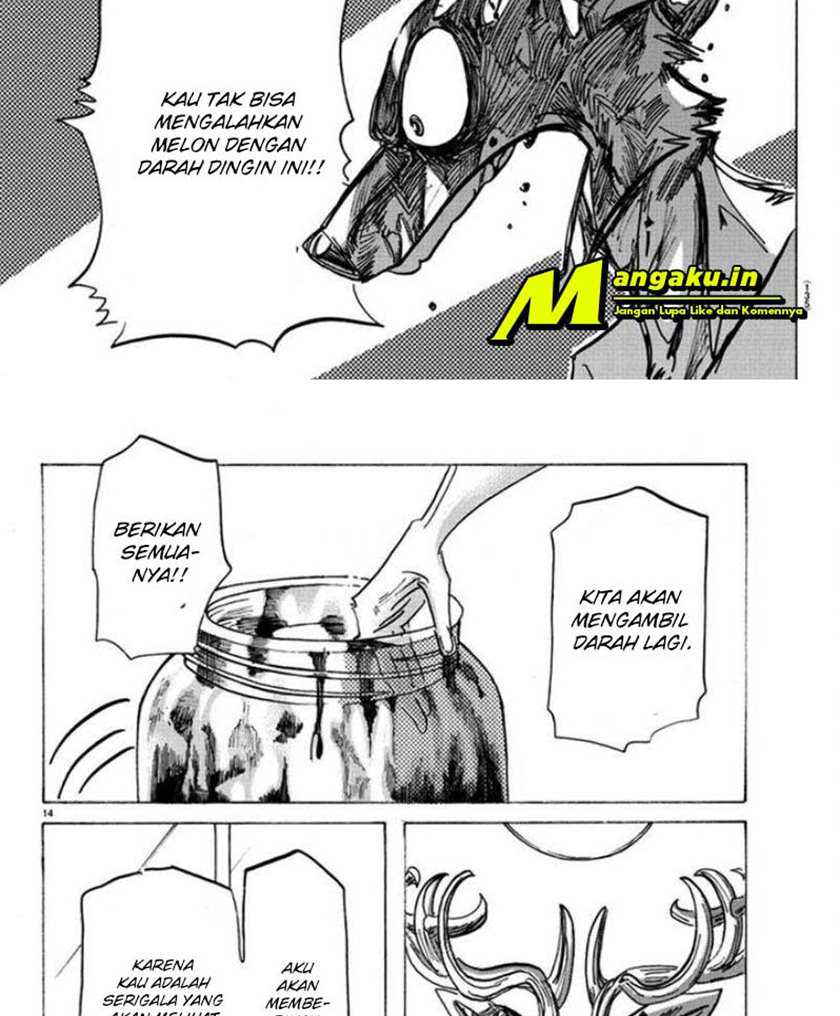 Beastars Bab 175 halaman 13