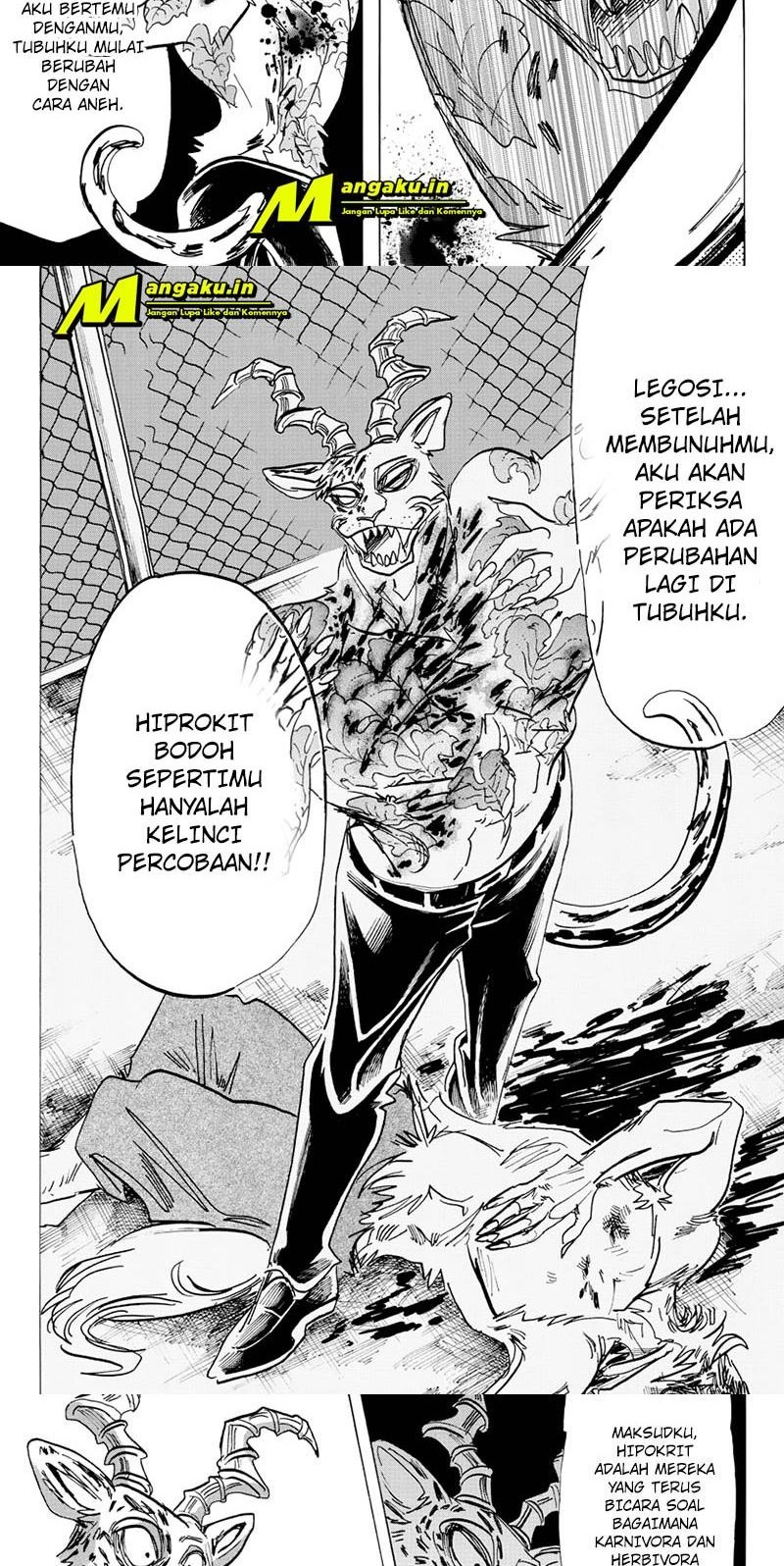 Beastars Bab 184 halaman 10