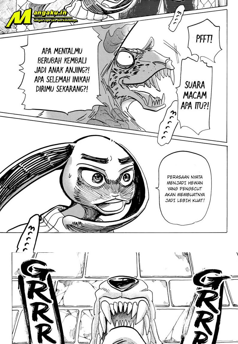 Beastars Bab 187 halaman 16
