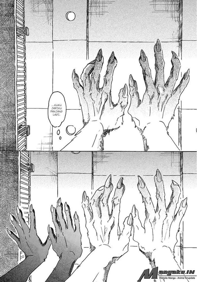 Beastars Bab 27 halaman 12