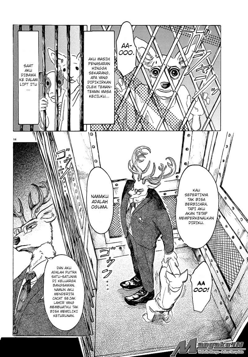 Beastars Bab 33 halaman 16