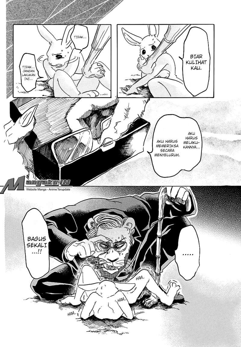 Beastars Bab 35 halaman 13