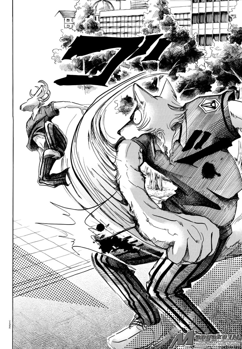 Beastars Bab 36 halaman 15