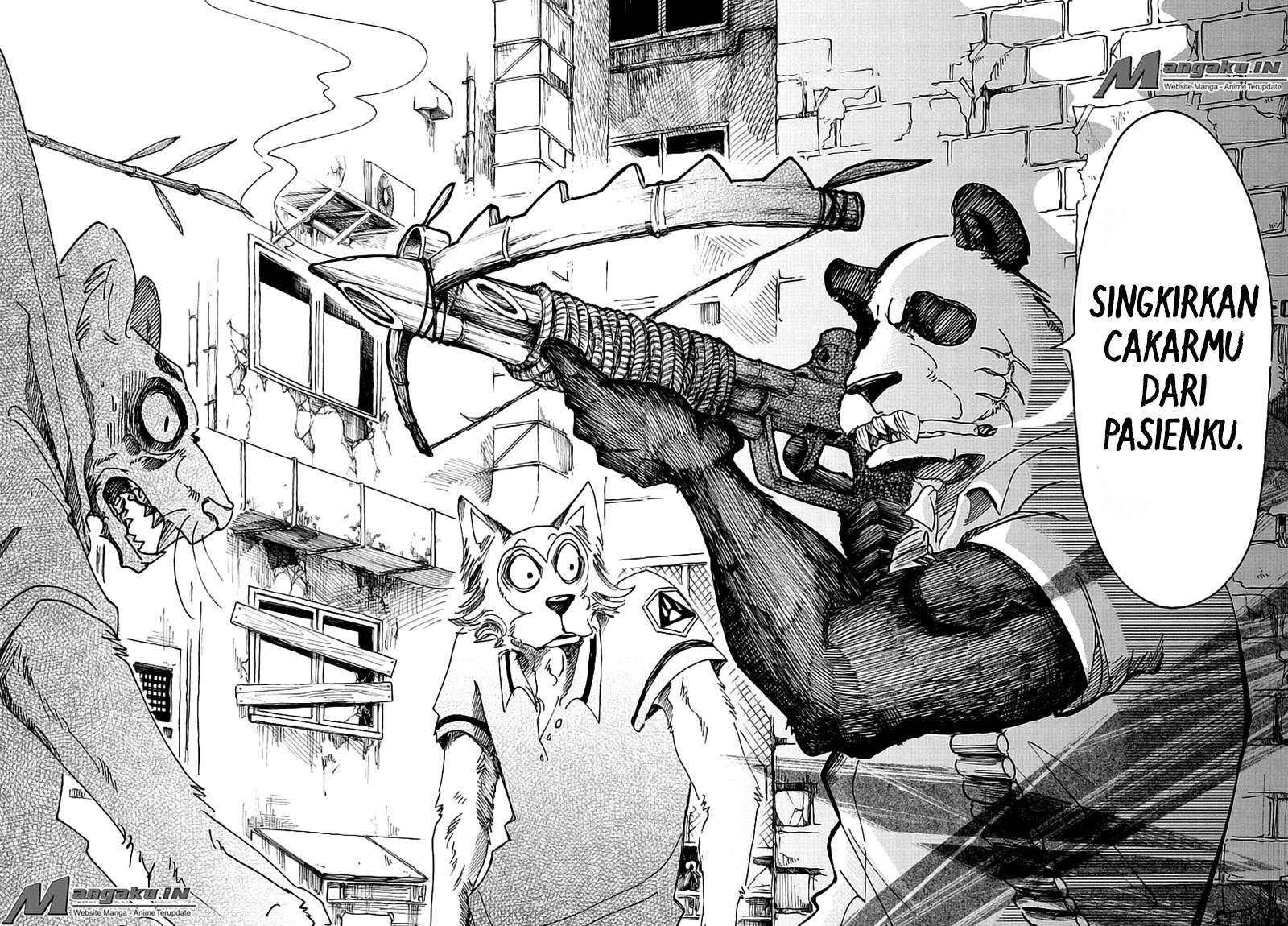 Beastars Bab 37 halaman 11