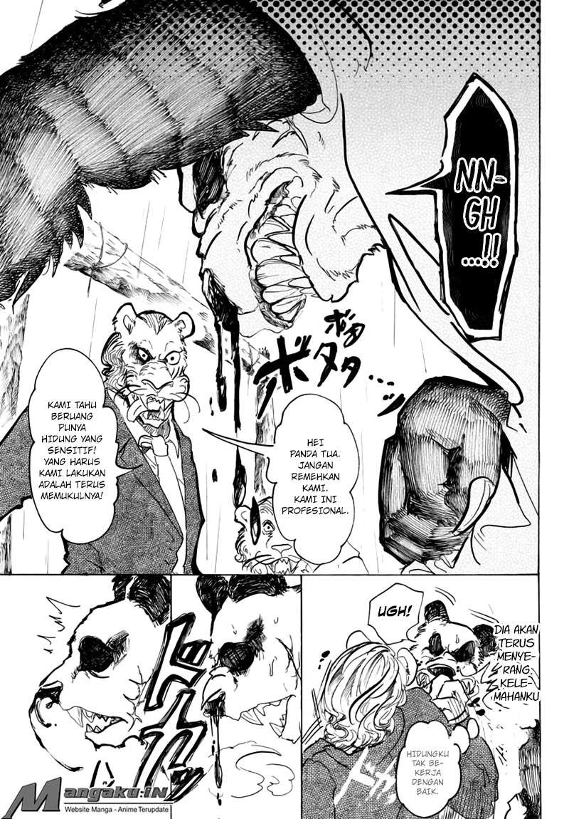 Beastars Bab 40 halaman 4