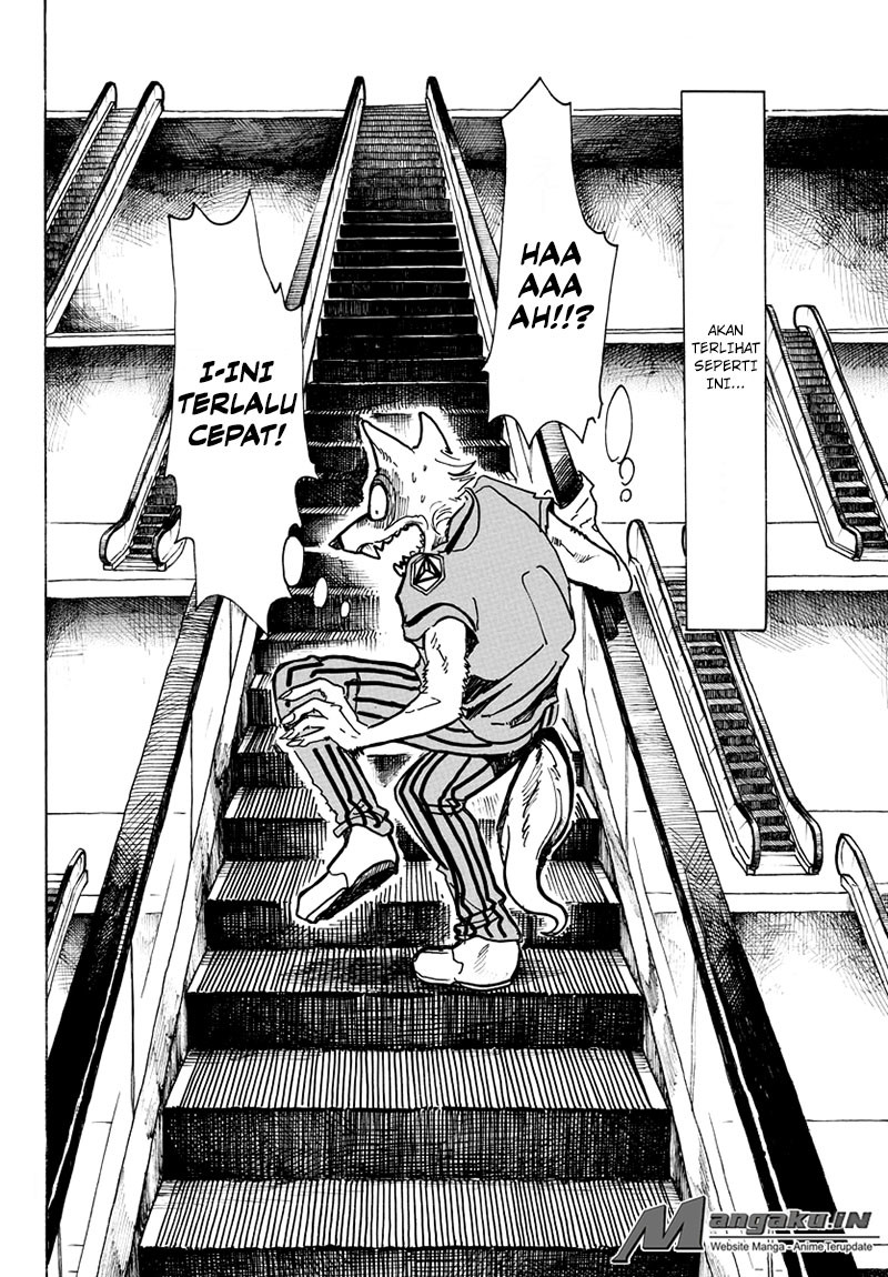 Beastars Bab 43 halaman 11