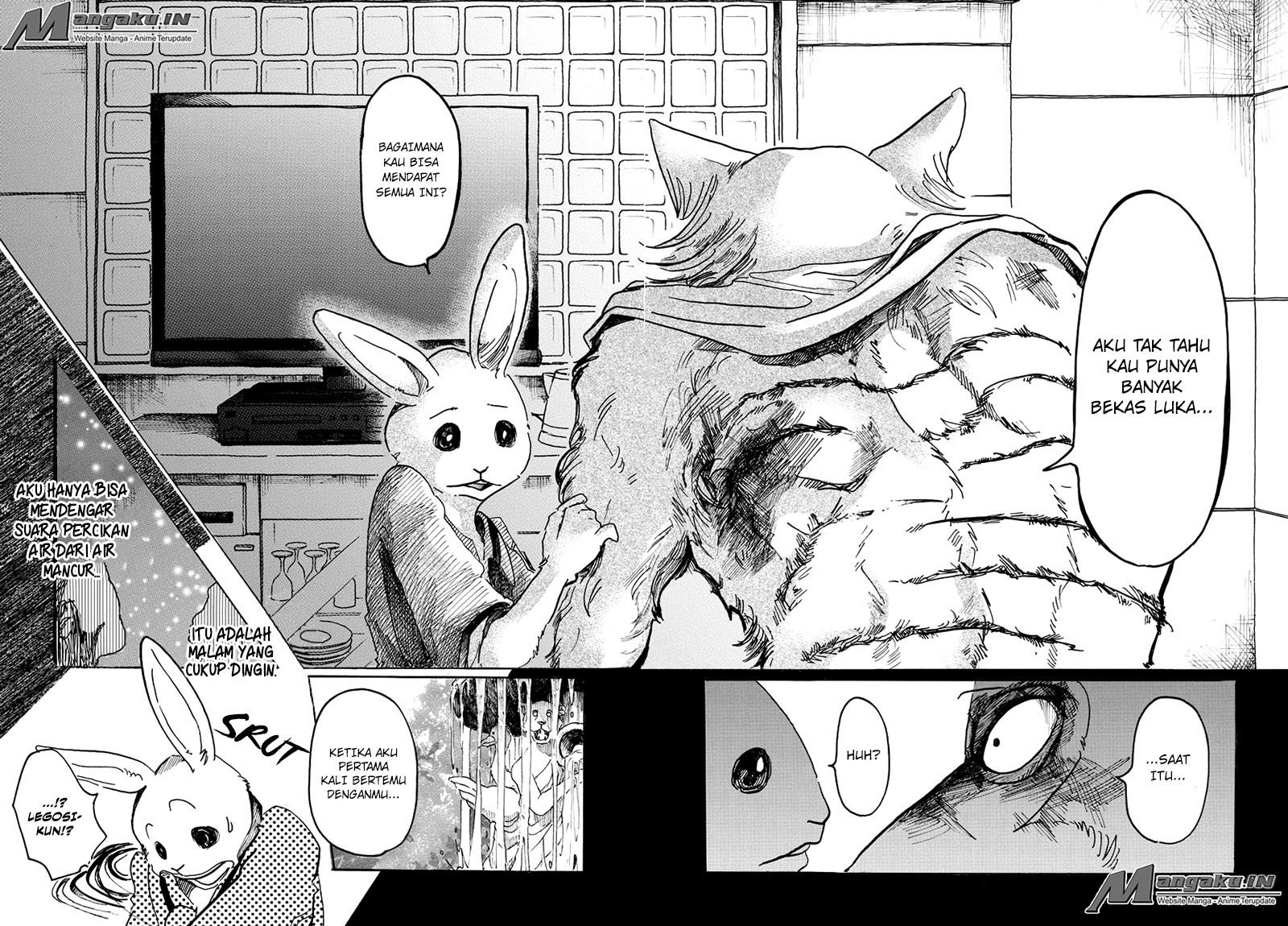 Beastars Bab 43 halaman 19