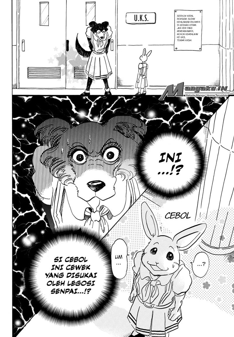 Beastars Bab 45 halaman 13