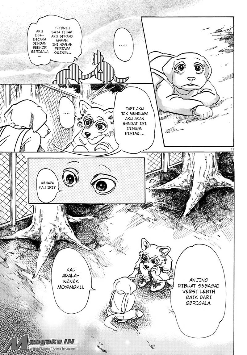 Beastars Bab 49 halaman 12