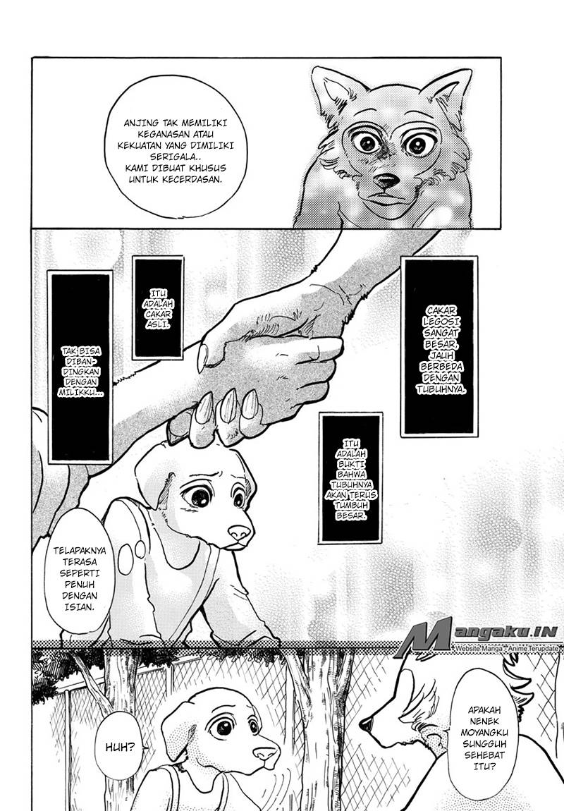 Beastars Bab 49 halaman 13