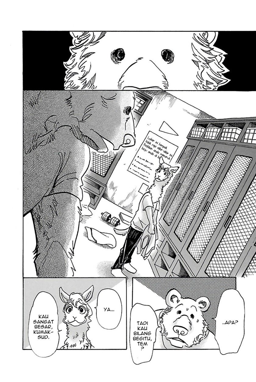 Beastars Bab 77 halaman 8