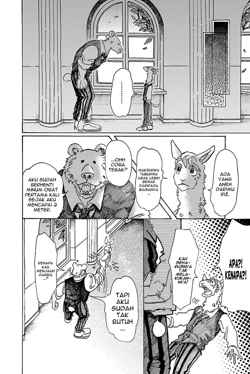 Beastars Bab 77 halaman 14