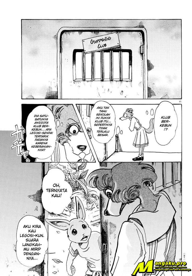 Beastars Bab 79 halaman 12