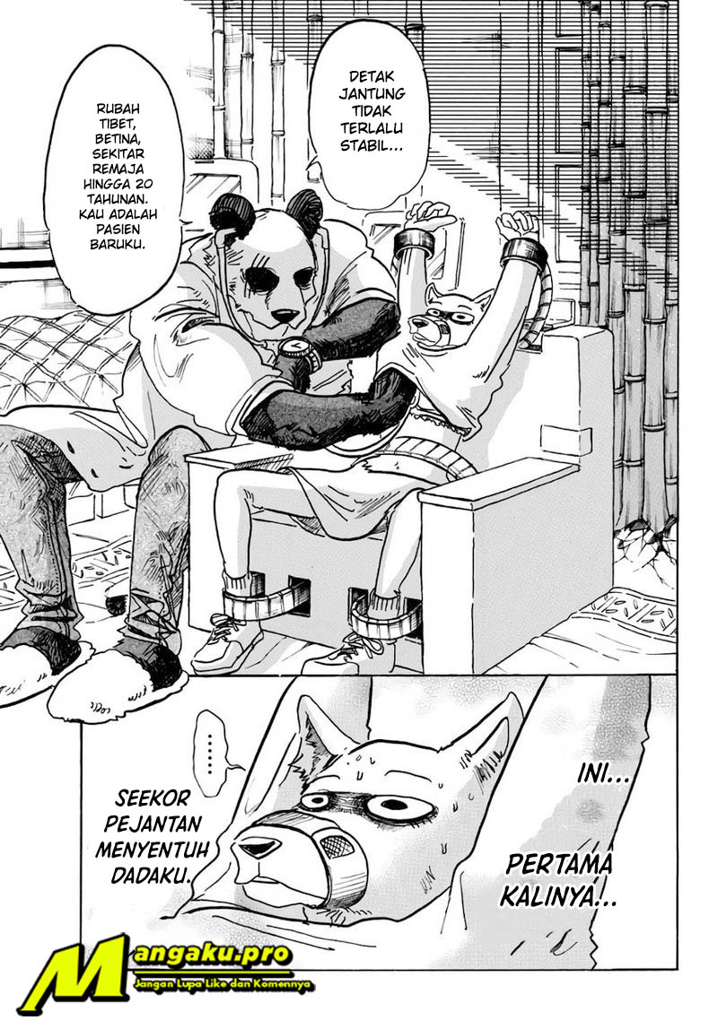 Beastars Bab 86 halaman 4