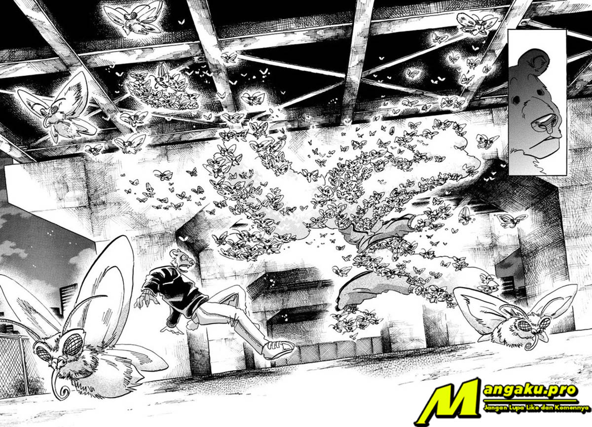 Beastars Bab 93 halaman 13