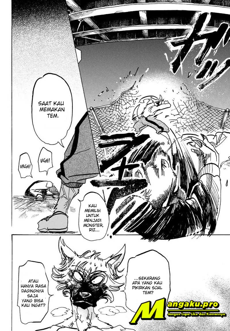 Beastars Bab 96 halaman 13