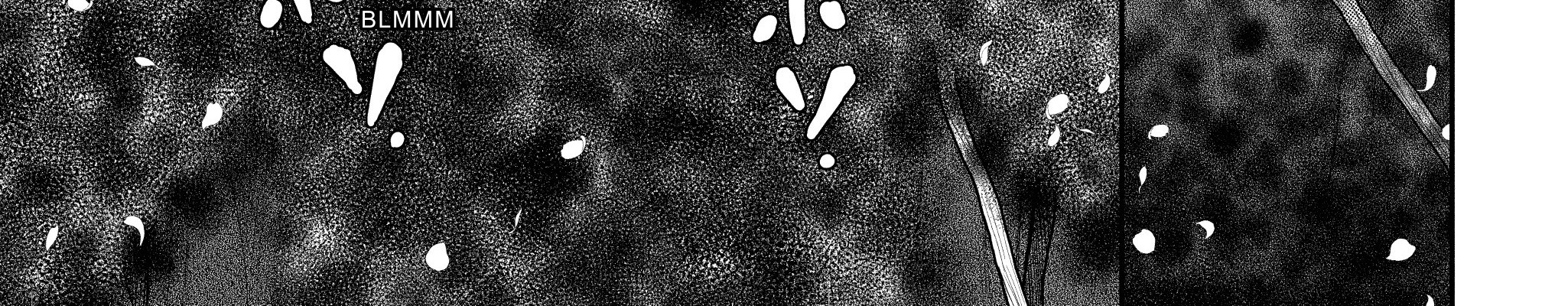 Berserk Bab 360 halaman 24