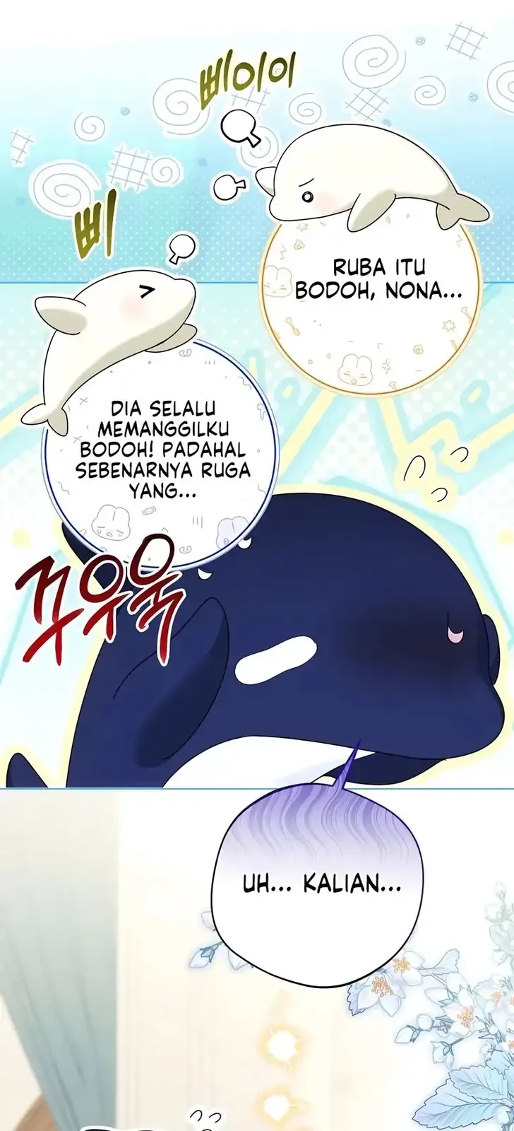 Black Killer Whale Baby Bab 95 halaman 44