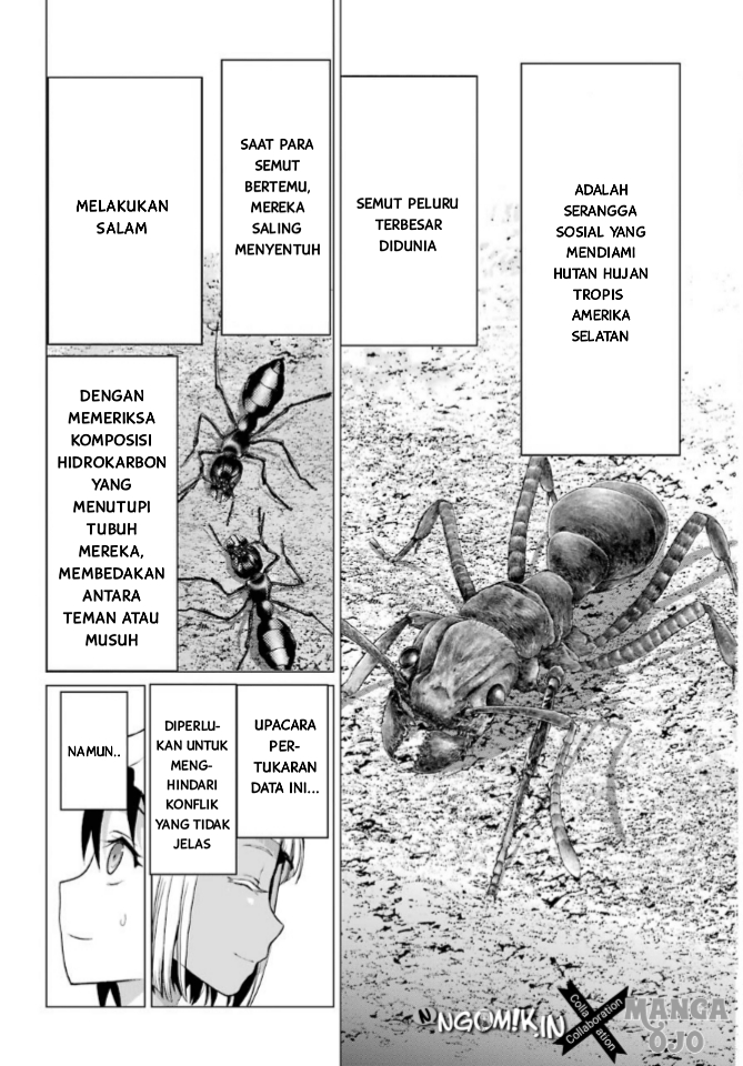 Blattodea Bab 1 halaman 42