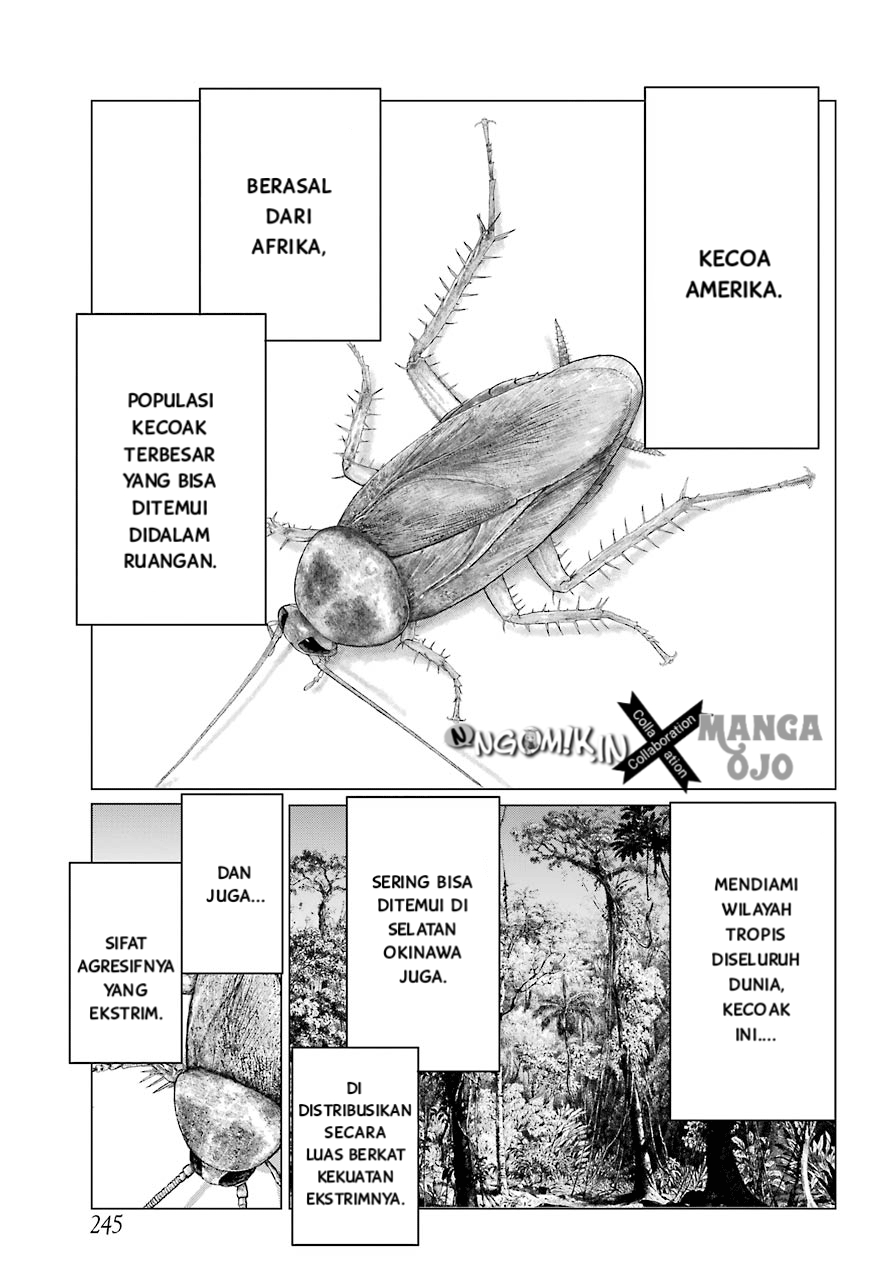 Blattodea Bab 2 halaman 15