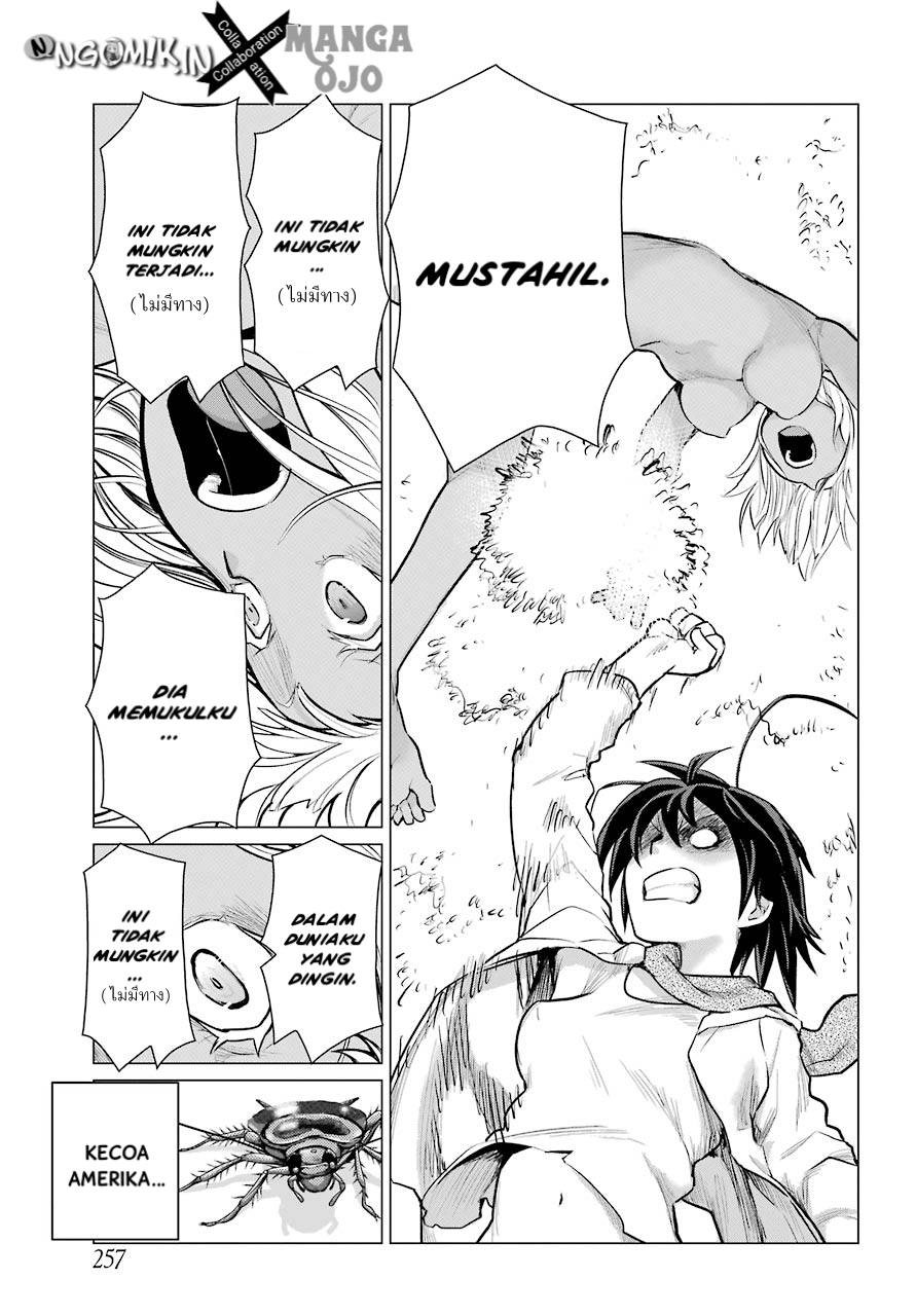 Blattodea Bab 2 halaman 26