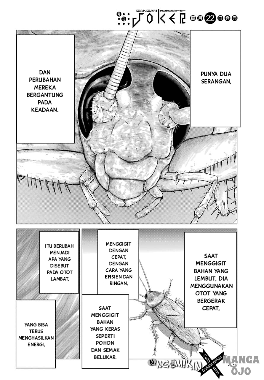 Blattodea Bab 2 halaman 27