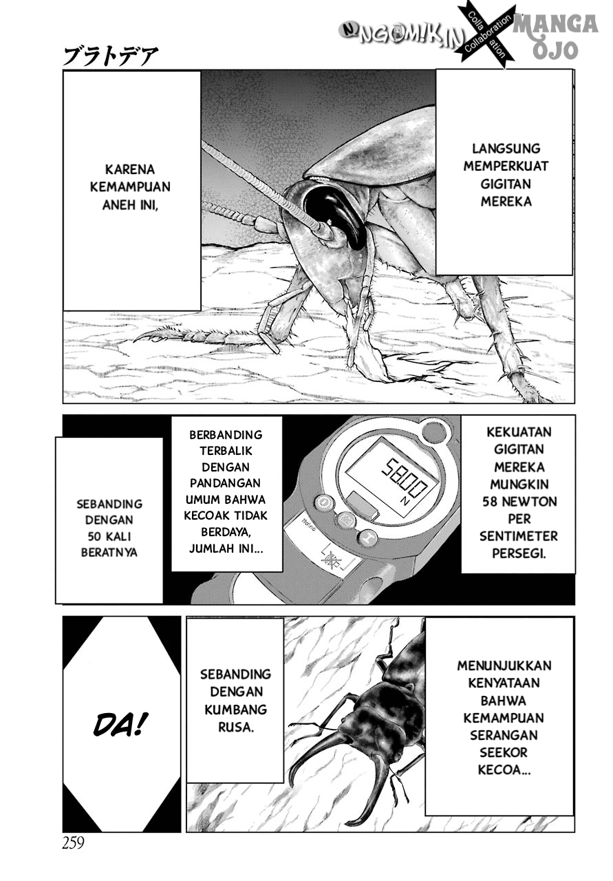 Blattodea Bab 2 halaman 28