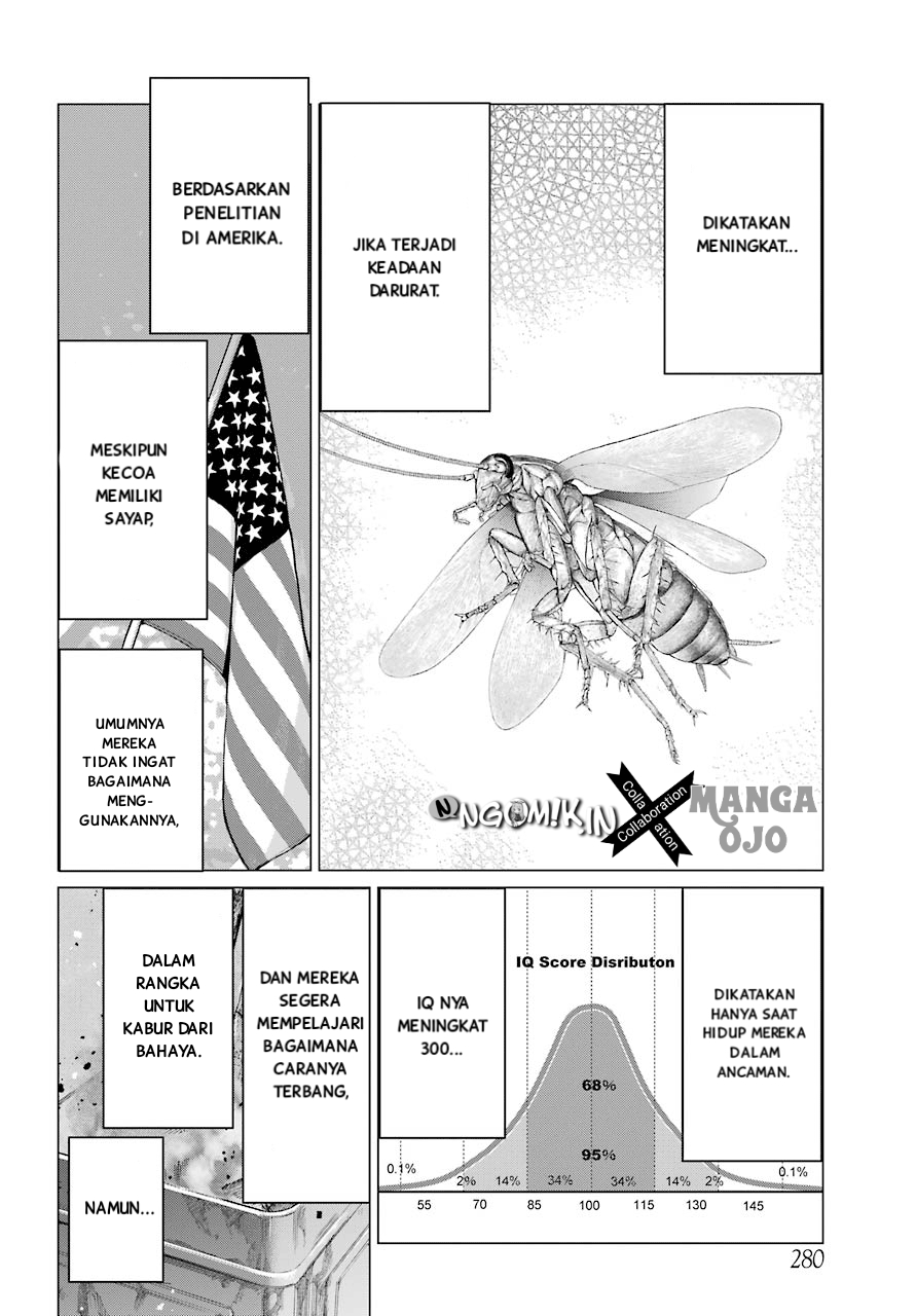 Blattodea Bab 2 halaman 47