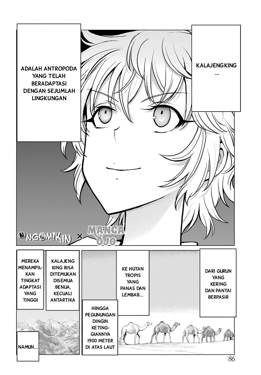 Blattodea Bab 3 halaman 22