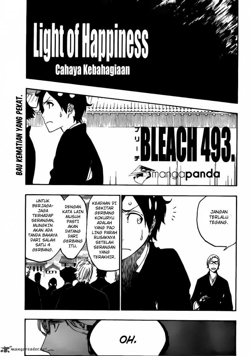 Bleach Bab 493 halaman 16